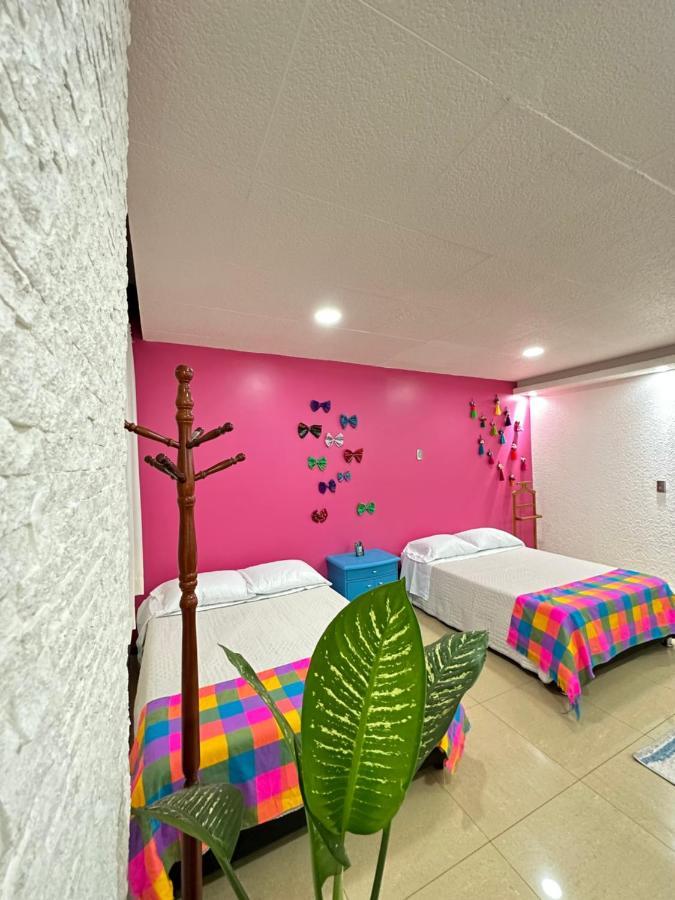 メキシコシティRosa1Bアパートメント エクステリア 写真